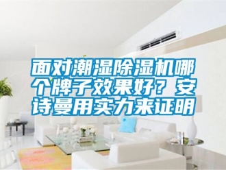 行業(yè)新聞面對潮濕除濕機哪個牌子效果好？安詩曼用實力來證明