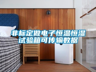 知識(shí)百科非標(biāo)定做電子恒溫恒濕試驗(yàn)箱可傳輸數(shù)據(jù)