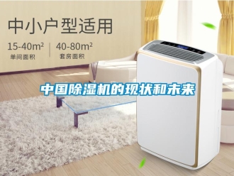 知識(shí)百科中國(guó)除濕機(jī)的現(xiàn)狀和未來(lái)