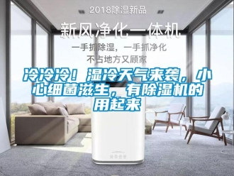 行業(yè)新聞冷冷冷！濕冷天氣來襲，小心細(xì)菌滋生，有除濕機(jī)的用起來