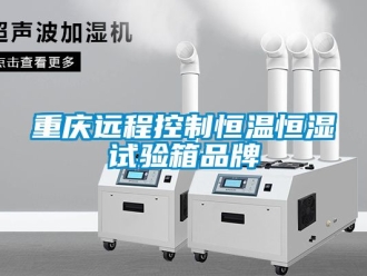 知識百科重慶遠程控制恒溫恒濕試驗箱品牌