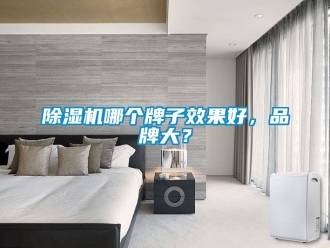 企業(yè)新聞除濕機(jī)哪個(gè)牌子效果好，品牌大？