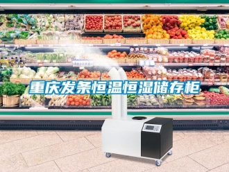 知識百科重慶發(fā)條恒溫恒濕儲存柜