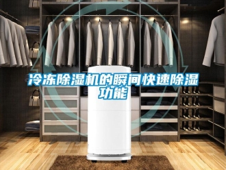 行業(yè)新聞冷凍除濕機的瞬間快速除濕功能