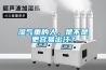 濕氣重的人，是不是更容易出汗？