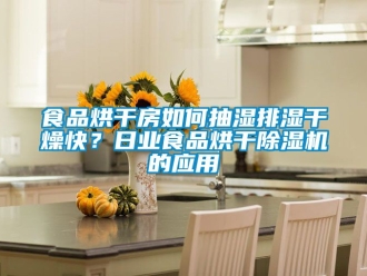 行業(yè)新聞食品烘干房如何抽濕排濕干燥快？日業(yè)食品烘干除濕機(jī)的應(yīng)用