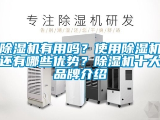 企業(yè)新聞除濕機(jī)有用嗎？使用除濕機(jī)還有哪些優(yōu)勢(shì)？除濕機(jī)十大品牌介紹