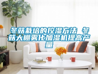 企業(yè)新聞冬菇栽培的控濕方法 冬菇大棚霧化加濕機(jī)提高產(chǎn)量