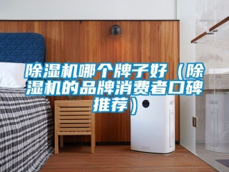 企業(yè)新聞除濕機(jī)哪個(gè)牌子好（除濕機(jī)的品牌消費(fèi)者口碑推薦）