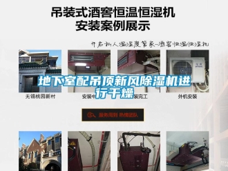企業(yè)新聞地下室配吊頂新風除濕機進行干燥
