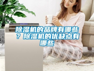 企業(yè)新聞除濕機的品牌有哪些？除濕機的優(yōu)缺點有哪些